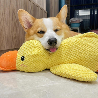 papera - gioco per cani anti stress