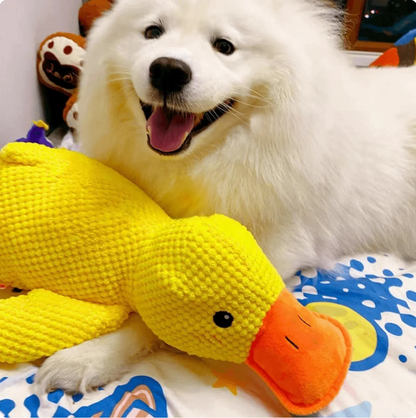 papera - gioco per cani anti stress