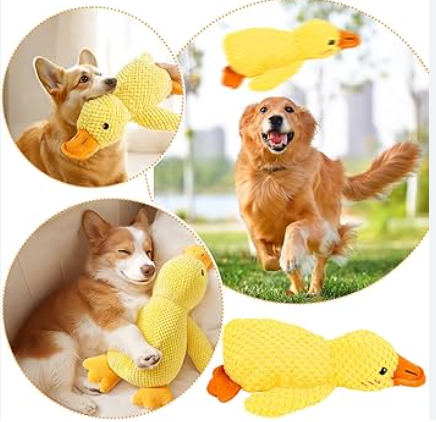 papera - gioco per cani anti stress