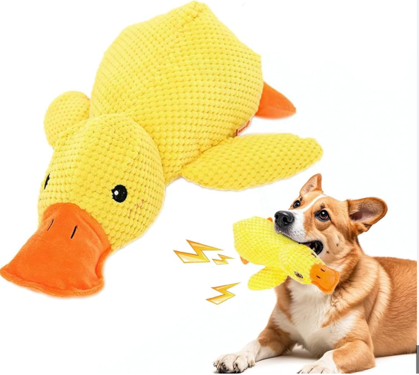 papera - gioco per cani anti stress