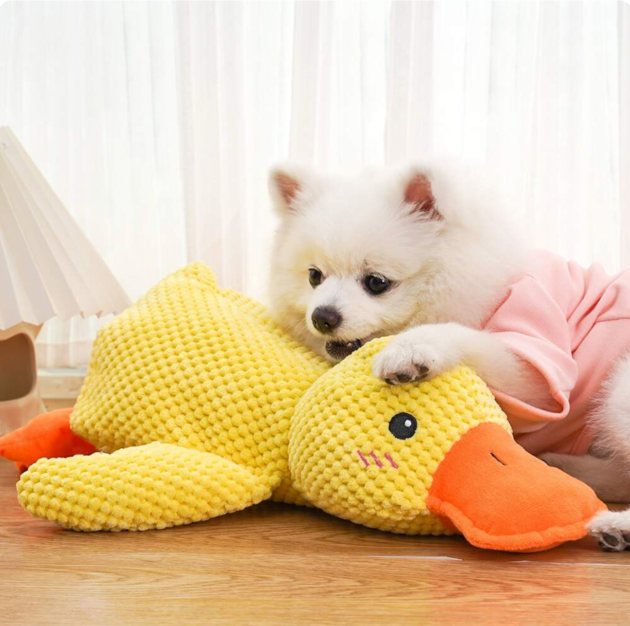 papera - gioco per cani anti stress