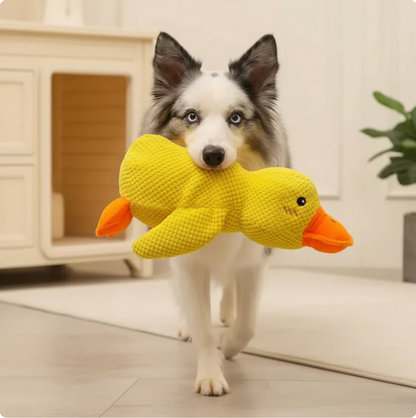 papera - gioco per cani anti stress