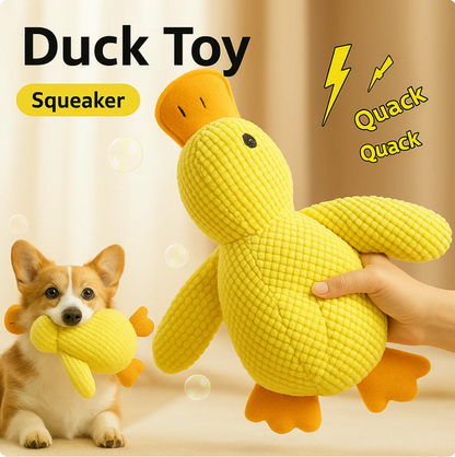 papera - gioco per cani anti stress